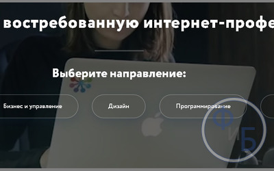 Старт  в фрилансе: как новичку начать дистанционно зарабатывать достойные деньги и добиться успешного карьерного роста